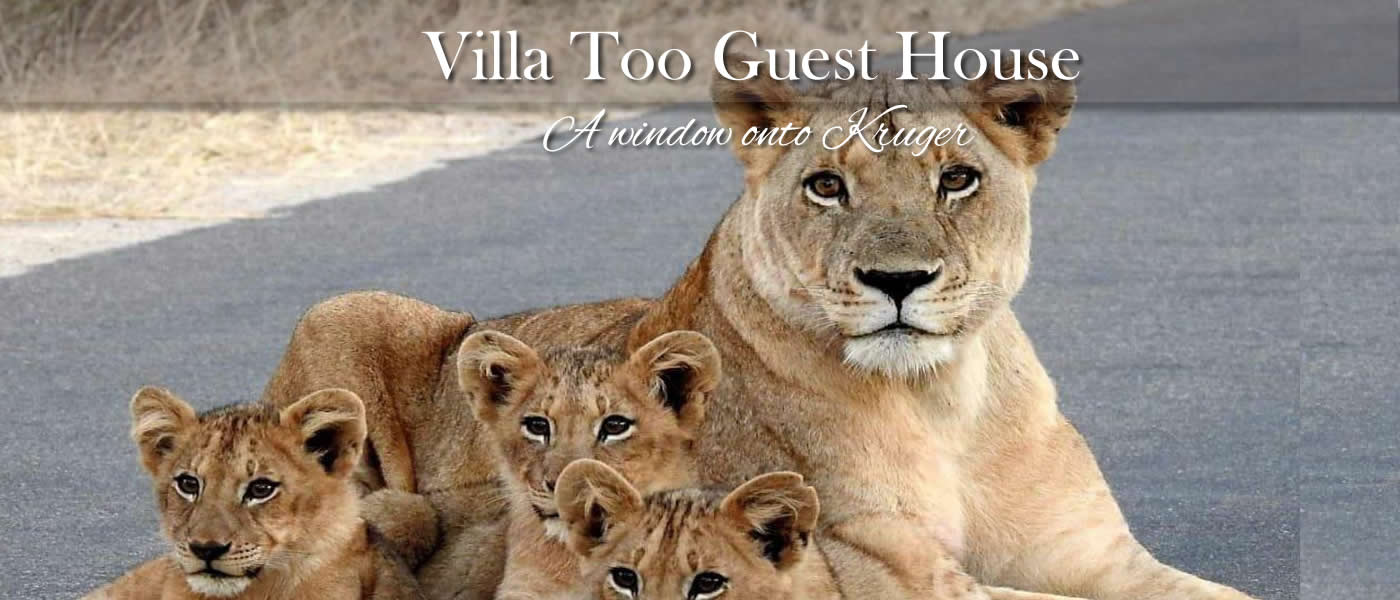 Villa Too Guest House close to Kruger Park